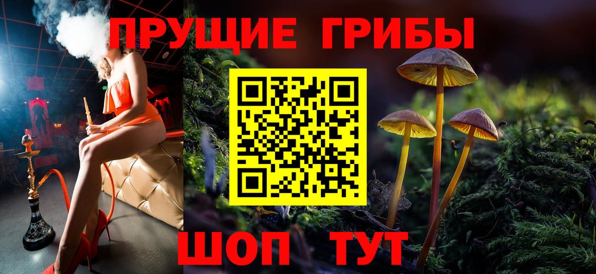 Галлюциногенные грибы MAGIC MUSHROOMS  Вход с VPN  Елец  Галлюциногенные грибы Psilocybine cubensis 